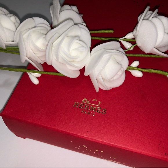 ✨ HERMÈS 2023 year of Rabbit red packet Envelopes - Picture 16 of 16